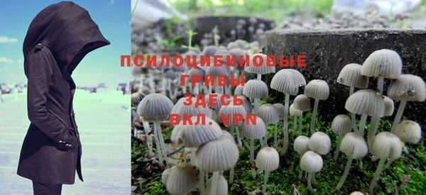каннабис Арсеньев