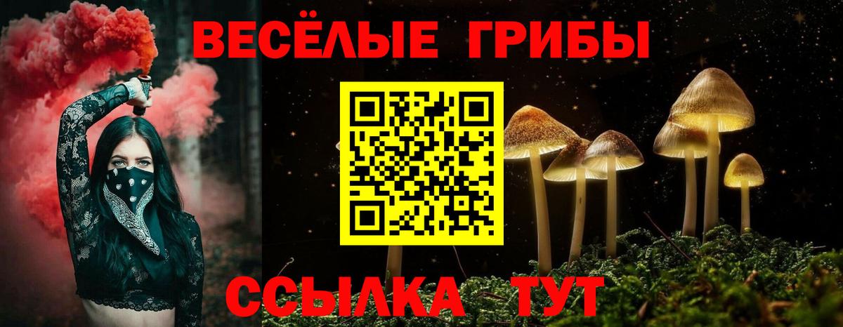 Галлюциногенные грибы мицелий  Вход с VPN  Канаш 